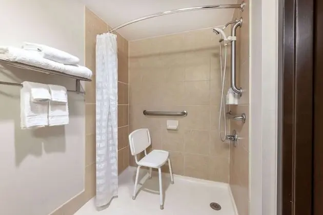 Junior Süit, 1 En Büyük (King) Boy Yatak, Engellilere Uygun, Sigara İçilmez (Roll-In Shower)