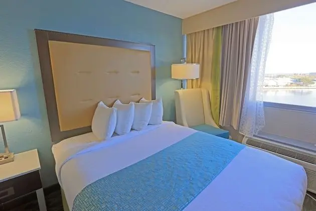 Oda, 1 En Büyük (King) Boy Yatak, Engellilere Uygun, Sigara İçilmez (Lake View, Accessible Tub)