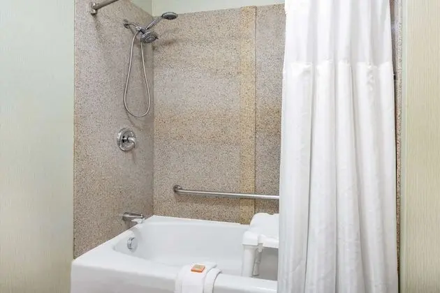 Oda, 1 En Büyük (King) Boy Yatak, Engellilere Uygun, Sigara İçilmez (Lake View, Accessible Tub)