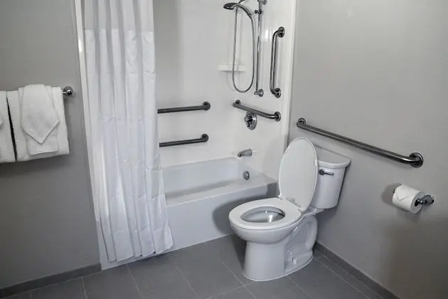 Oda, 1 En Büyük (King) Boy Yatak, Engellilere Uygun, Sigara İçilmez (Mobility, Roll-In Shower)