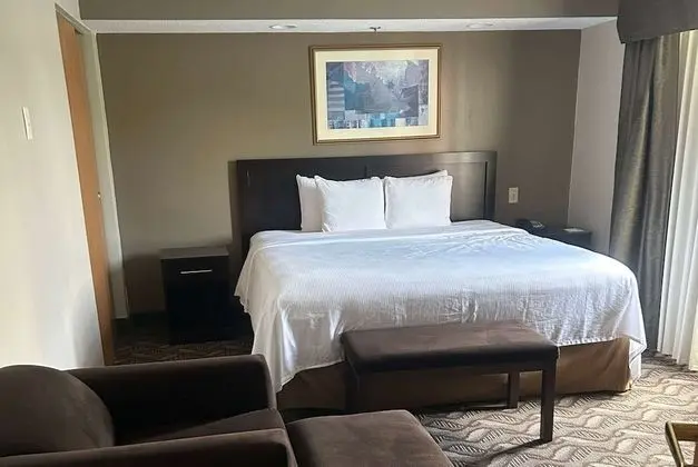 Süit, 1 En Büyük (King) Boy Yatak, Sigara İçilmez (One-Bedroom Suite)