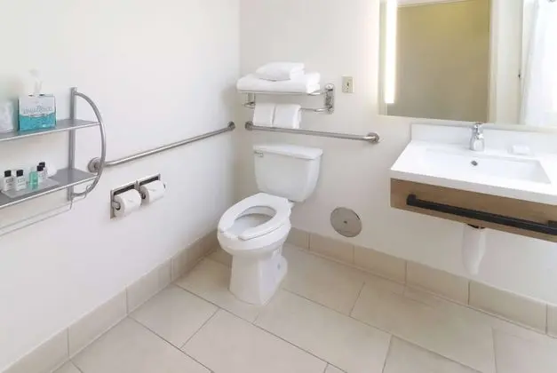 Oda, 1 En Büyük (King) Boy Yatak, Engellilere Uygun, Sigara İçilmez (Roll-In Shower)