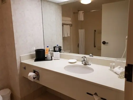 Oda, 1 En Büyük (King) Boy Yatak, Sigara İçilmez (Spacious Room)