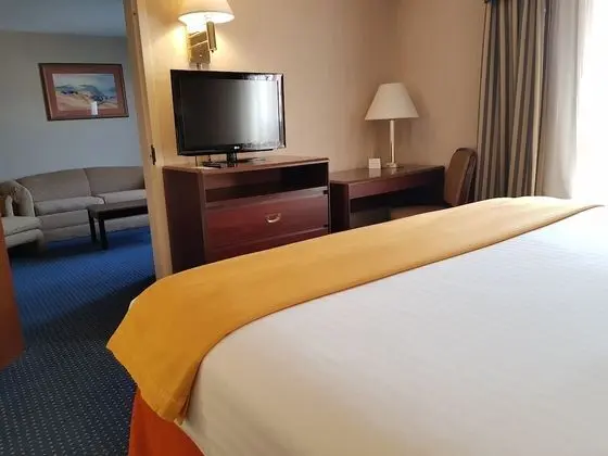 Süit, 1 En Büyük (King) Boy Yatak ve Çekyat (Master Suite)