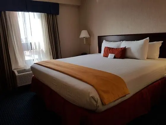 Süit, 1 En Büyük (King) Boy Yatak ve Çekyat (Master Suite)