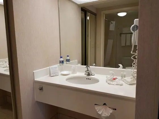Süit, 1 En Büyük (King) Boy Yatak ve Çekyat (Master Suite)