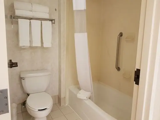 Süit, 1 En Büyük (King) Boy Yatak ve Çekyat (Master Suite)