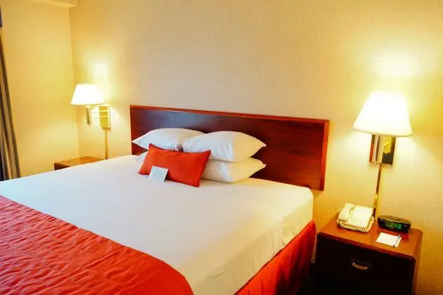 Tek Kişilik Oda King Size Bed