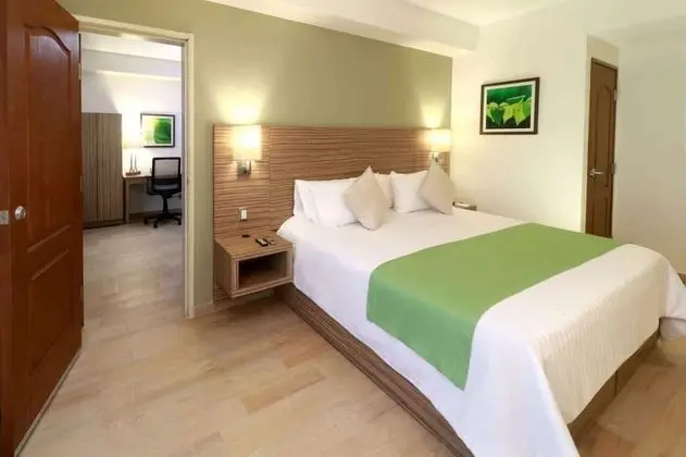 Junior Süit, 1 Yatak Odası, Sigara İçilmez (1 King Bed)