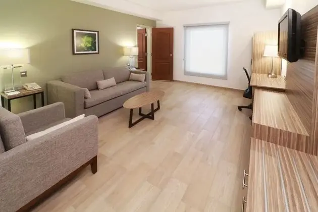 Junior Süit, 1 Yatak Odası, Sigara İçilmez (1 King Bed)