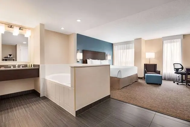Premium Oda, 1 En Büyük (King) Boy Yatak, Sigara İçilmez, Şehir Manzaralı (Jetted Tub)