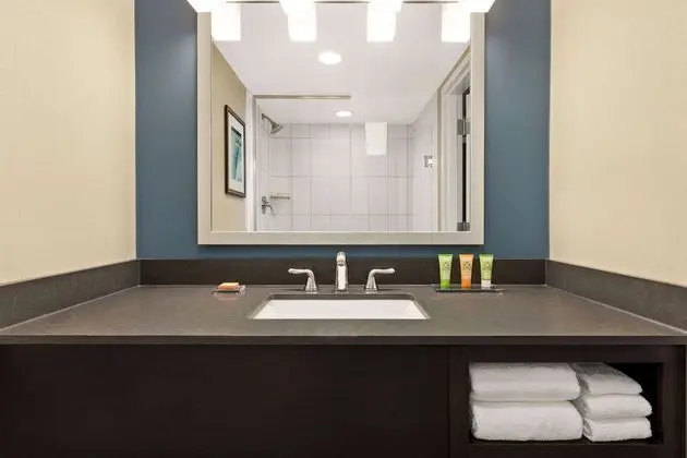 Premium Oda, 1 En Büyük (King) Boy Yatak, Sigara İçilmez, Şehir Manzaralı (Jetted Tub)