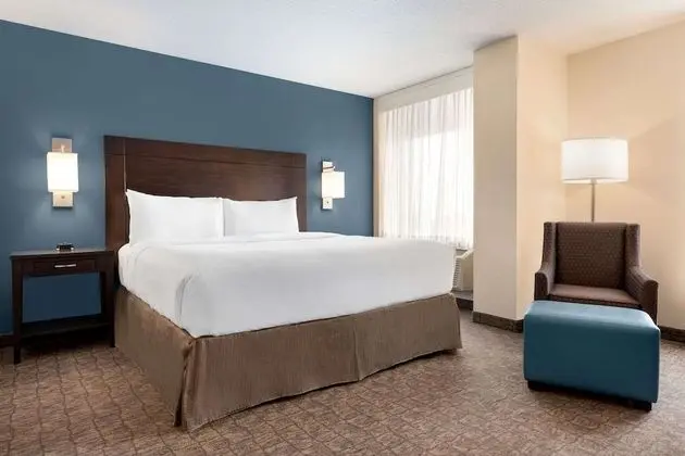 Premium Oda, 1 En Büyük (King) Boy Yatak, Sigara İçilmez, Şehir Manzaralı (Jetted Tub)