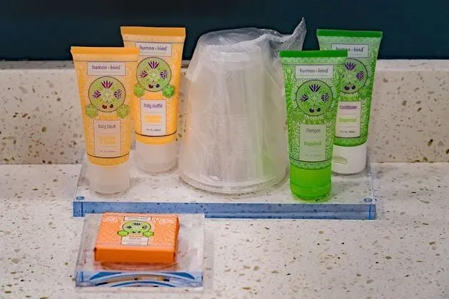 Premium Oda, 1 En Büyük (King) Boy Yatak, Sigara İçilmez, Şehir Manzaralı (Jetted Tub)