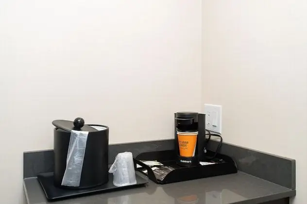 Premium Oda, 1 En Büyük (King) Boy Yatak, Sigara İçilmez, Şehir Manzaralı (Jetted Tub)