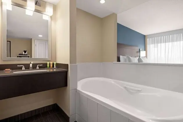 Premium Oda, 1 En Büyük (King) Boy Yatak, Sigara İçilmez, Şehir Manzaralı (Jetted Tub)