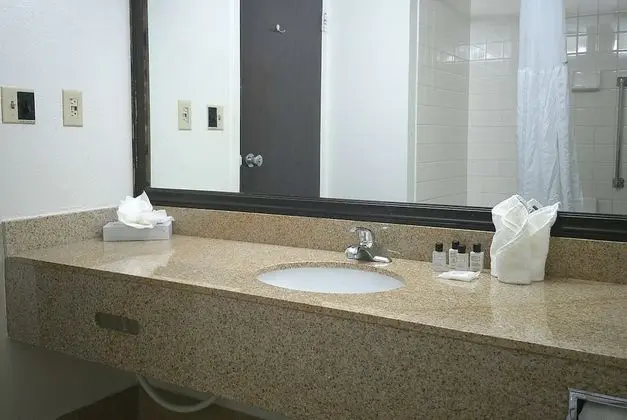 Oda, 1 En Büyük (King) Boy Yatak, Engellilere Uygun, Sigara İçilmez (Mobility, Roll-in Shower)