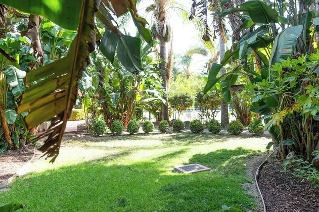 Odadan manzara