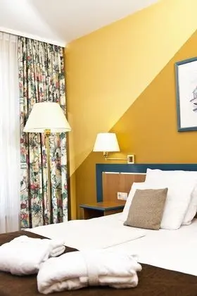 Superior Tek Büyük Yataklı Oda