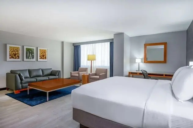 Süit, 1 Yatak Odası, Sigara İçilmez (Executive Tower)