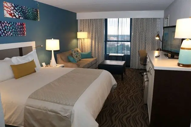 Oda, 1 En Büyük (King) Boy Yatak ve Çekyat, Sigara İçilmez, Resort Manzaralı (Disney View)