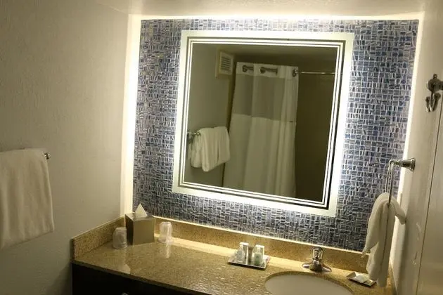 Oda, 1 En Büyük (King) Boy Yatak ve Çekyat, Sigara İçilmez, Resort Manzaralı (Disney View)