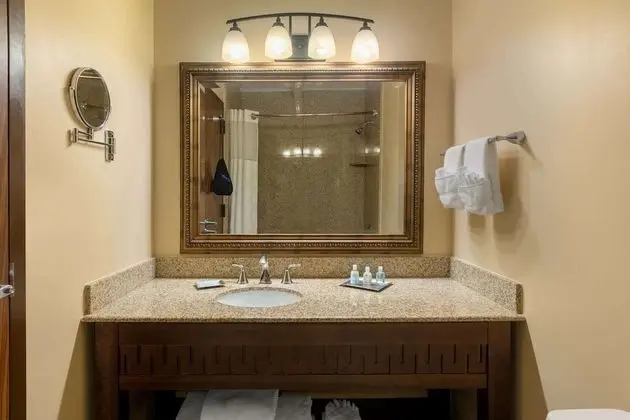 Deluxe Süit, 1 En Büyük (King) Boy Yatak, Sigara İçilmez (One-Bedroom Suite)