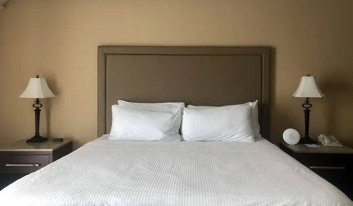 Süit, 1 En Büyük (King) Boy Yatak, Sigara İçilmez (One-Bedroom Suite)