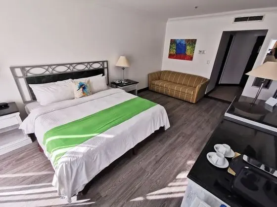 Premium Oda, 1 En Büyük (King) Boy Yatak, Sigara İçilmez