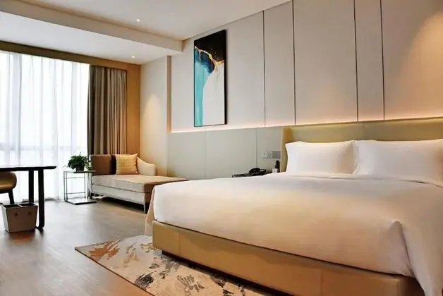 Deluxe Oda, 1 En Büyük (King) Boy Yatak