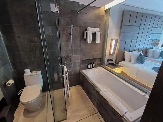 Deluxe Oda, 1 En Büyük (King) Boy Yatak