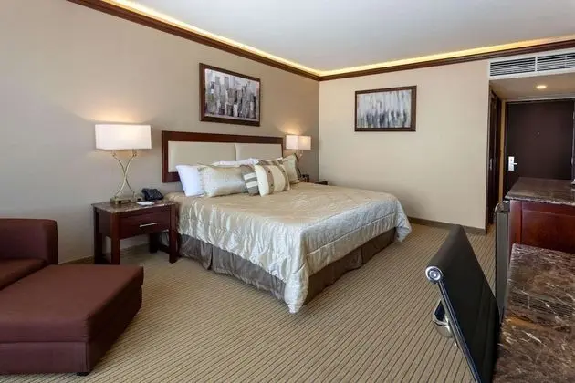 Standard Oda, 1 En Büyük (King) Boy Yatak, Sigara İçilmez