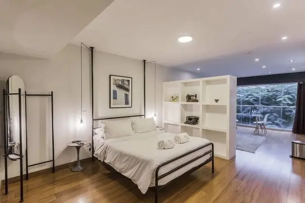 Çatı Katı (Loft), 1 Büyük (Queen) Boy Yatak, Teras (apt. #201)