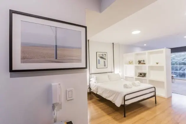 Çatı Katı (Loft), 1 Büyük (Queen) Boy Yatak, Teras (apt. #201)