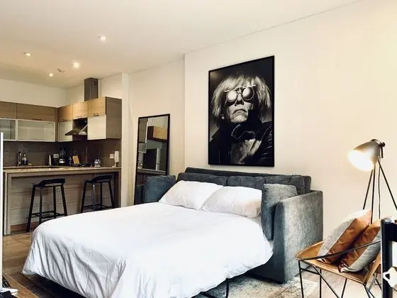 Çatı Katı (Loft), 1 Büyük (Queen) Boy Yatak ve Çekyat, Teras (Apt. #201)