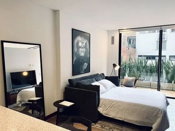 Çatı Katı (Loft), 1 Büyük (Queen) Boy Yatak ve Çekyat, Teras (Apt. #201)