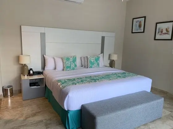 Deluxe Tek Büyük veya İki Ayrı Yataklı Oda, 1 Yatak Odası, Balkon, Bahçe Manzaralı