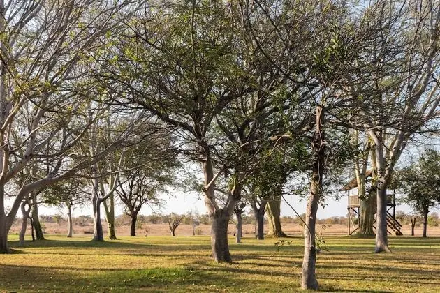 Tek Büyük veya İki Ayrı Yataklı Oda (3)