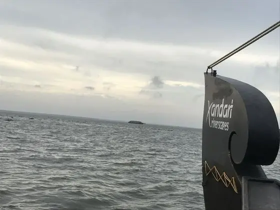 Oda (3 Bedroom Houseboat)