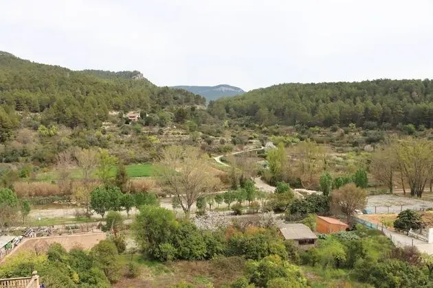 Superior Tek Büyük veya İki Ayrı Yataklı Oda, Teras, Nehir Manzaralı