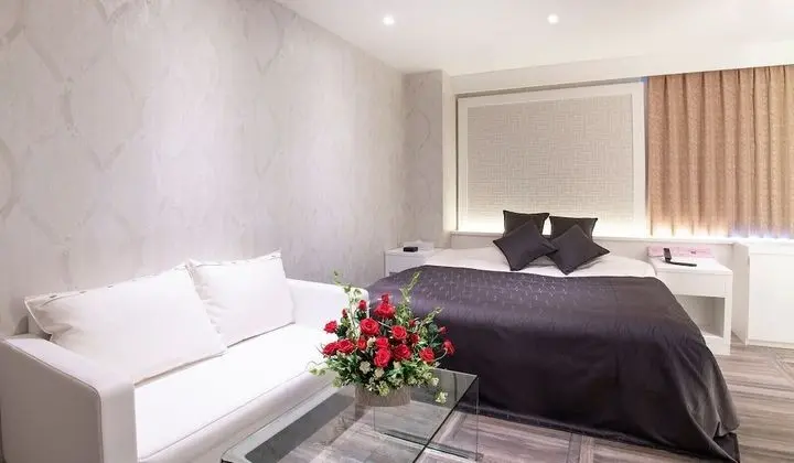 Deluxe Tek Büyük Yataklı Oda, Sigara İçilebilir