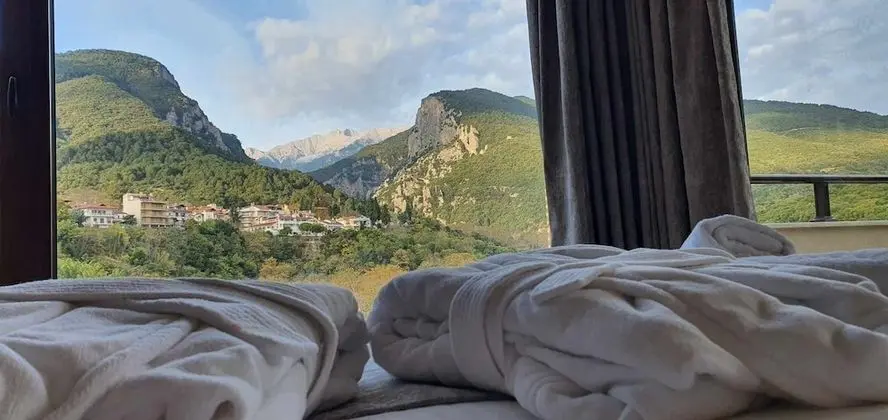 Panoramic Tek Büyük Yataklı Oda (Olympus View)