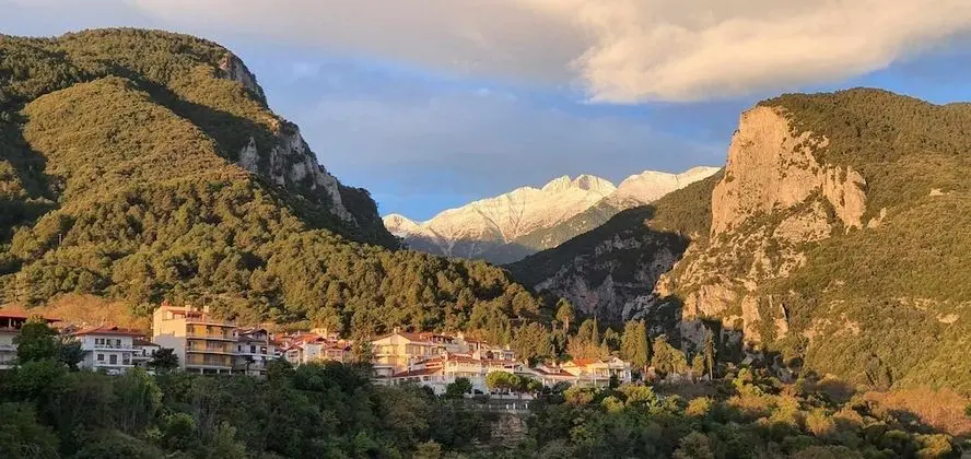Panoramic Tek Büyük Yataklı Oda (Olympus View)