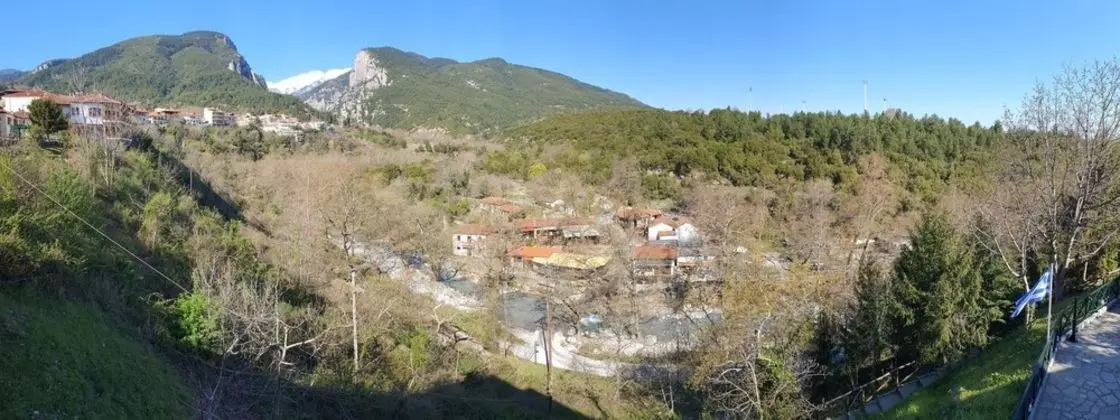 Panoramic Tek Büyük Yataklı Oda (Olympus View)