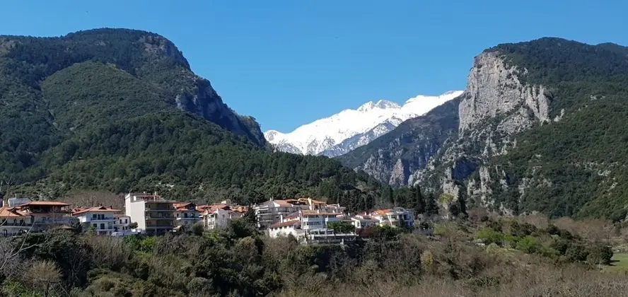 Panoramic Tek Büyük Yataklı Oda (Olympus View)
