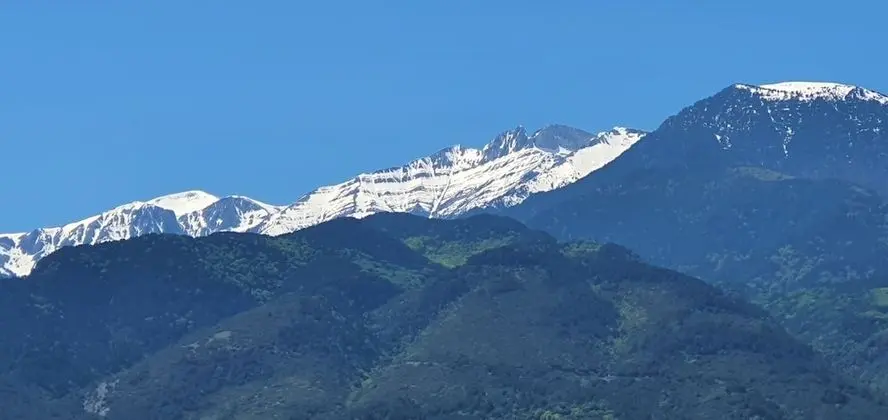 Panoramic Tek Büyük Yataklı Oda (Olympus View)
