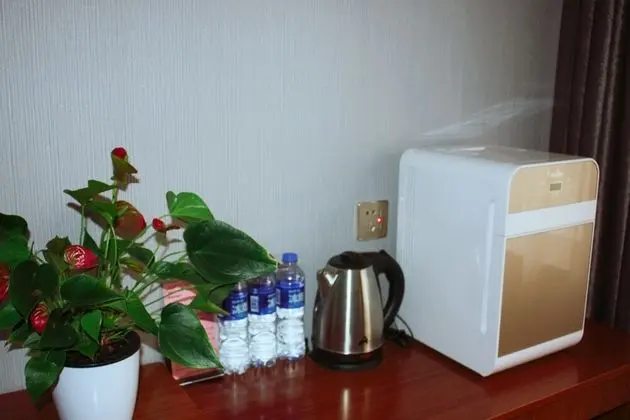 Business İki Ayrı Yataklı Oda, Birden Çok Yatak, Engellilere Uygun, Şehir Manzaralı