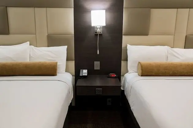 Deluxe Oda, 2 Çift Kişilik Yatak