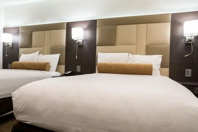 Deluxe Oda, 2 Çift Kişilik Yatak
