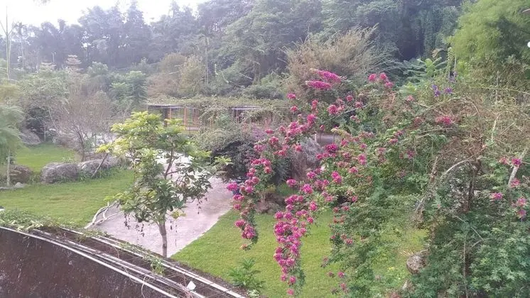 Üç Kişilik Oda, Avlu Manzaralı